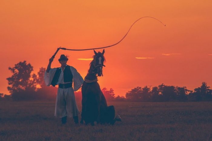 9 Symbolic Meanings of Dreaming of Being Whipped