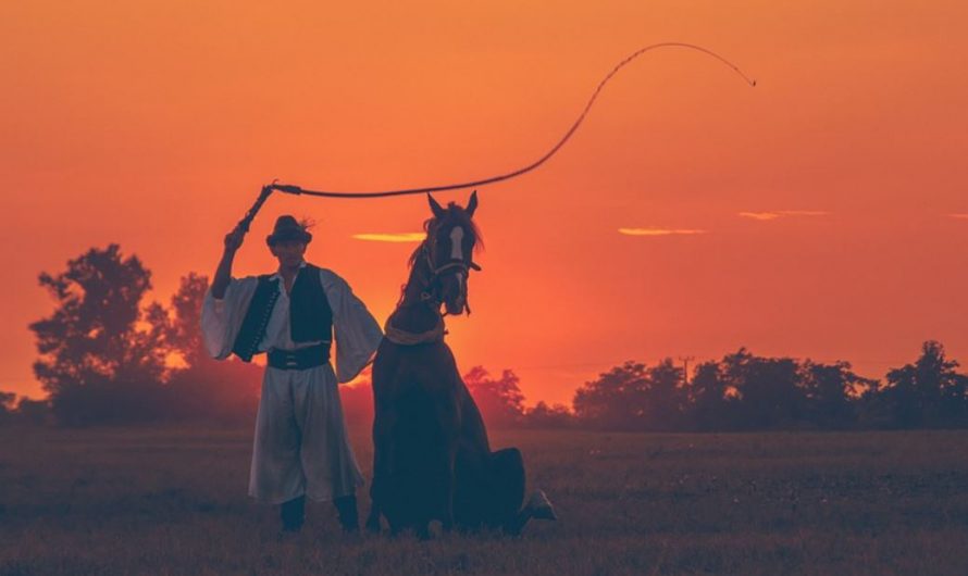 9 Symbolic Meanings of Dreaming of Being Whipped