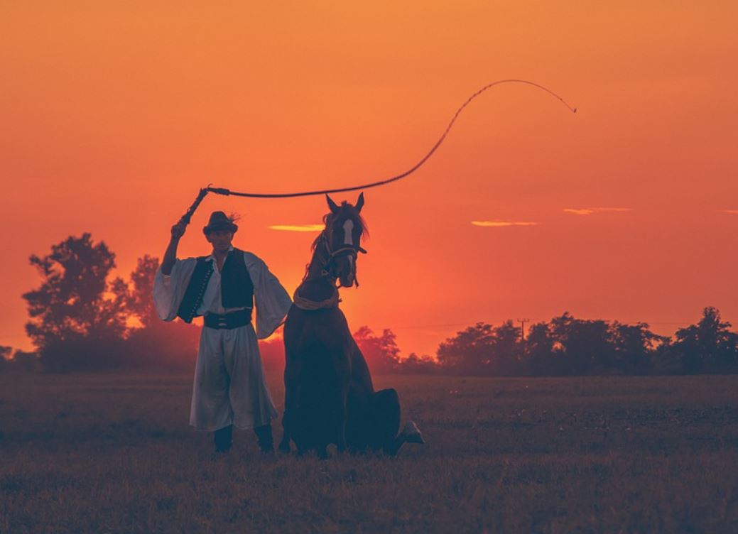 9 Symbolic Meanings of Dreaming of Being Whipped