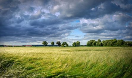 19 Symbolic Meanings of Dreaming of Strong Winds