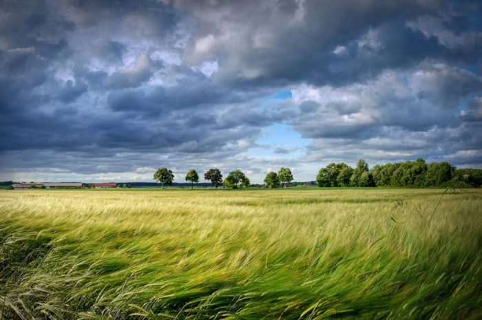 19 Symbolic Meanings of Dreaming of Strong Winds