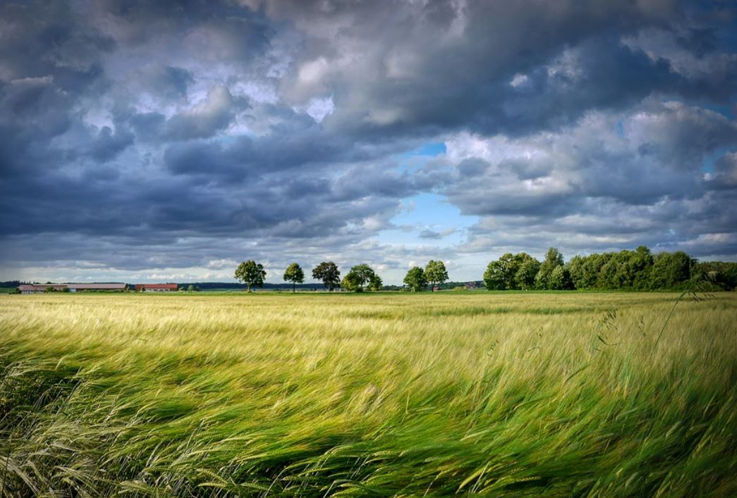 19 Symbolic Meanings of Dreaming of Strong Winds