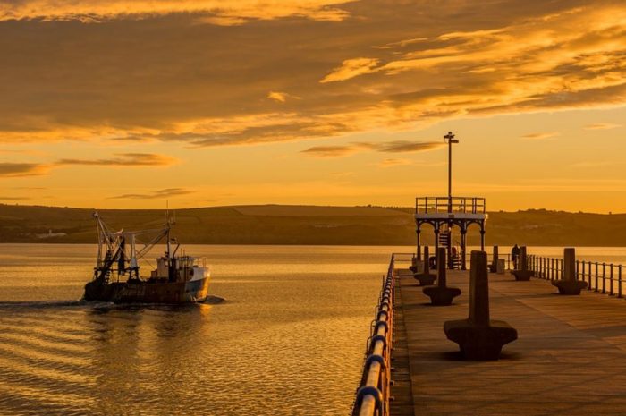 23 symbolic meanings of dreaming about a port