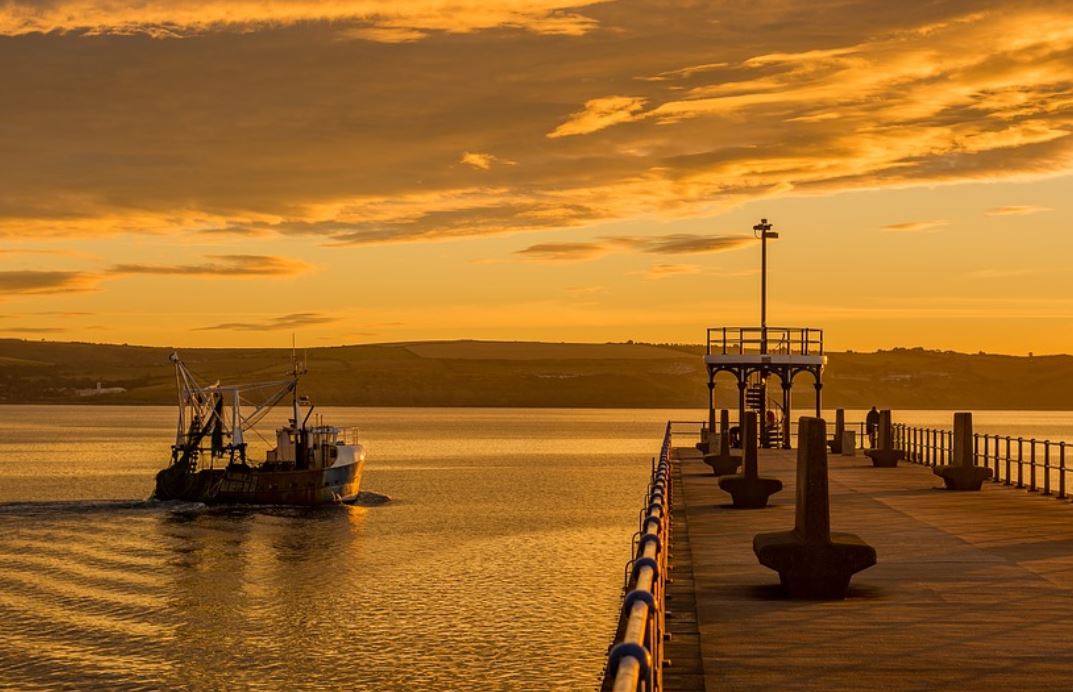 23 symbolic meanings of dreaming about a port