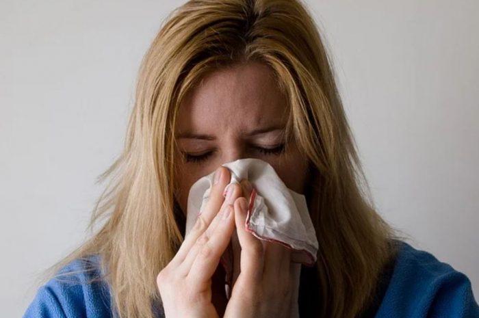 10 symbolic meanings of dreaming about hives