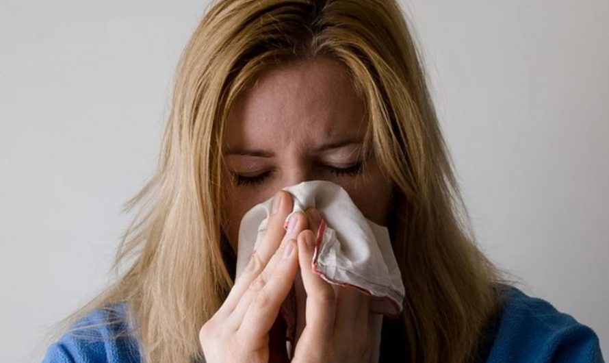 10 symbolic meanings of dreaming about hives