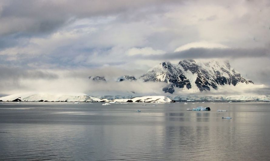 9 Symbolic Meanings of Dreaming of Antarctica