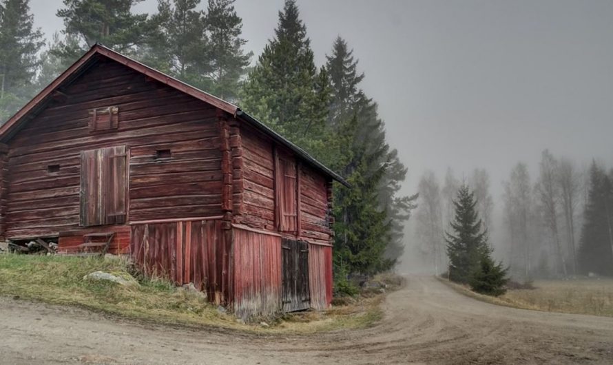 21 symbolic meanings of dreaming about a barn full of grain