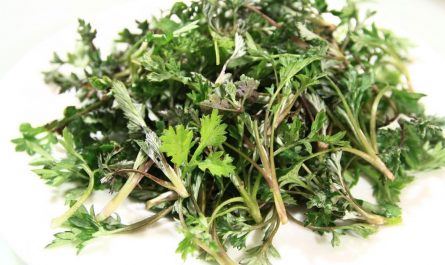 11 symbolic meanings of dreaming about digging mugwort