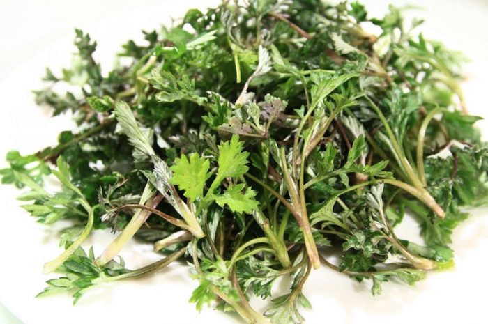 11 symbolic meanings of dreaming about digging wormwood