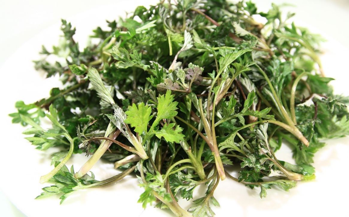 11 symbolic meanings of dreaming about digging mugwort