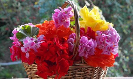 15 Symbolic Meanings of Dreaming of Flower Baskets