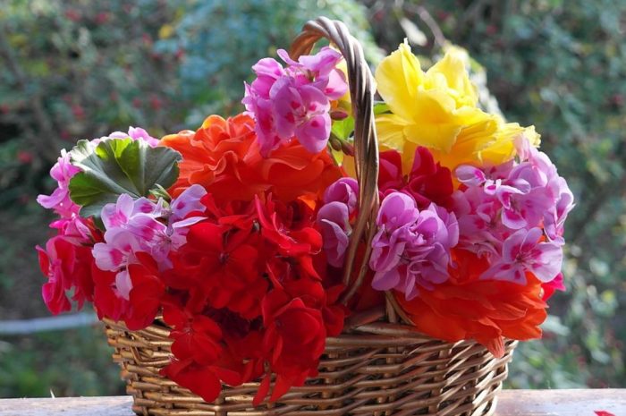 15 Symbolic Meanings of Dreaming of Flower Baskets