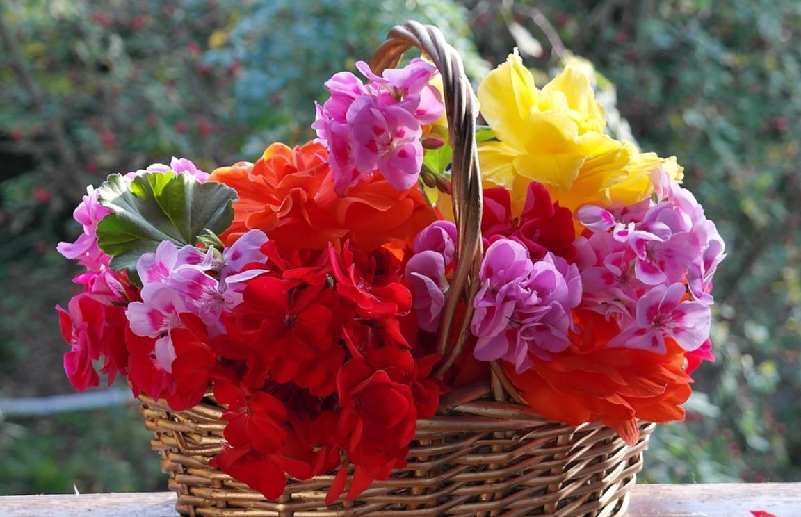 15 Symbolic Meanings of Dreaming of Flower Baskets