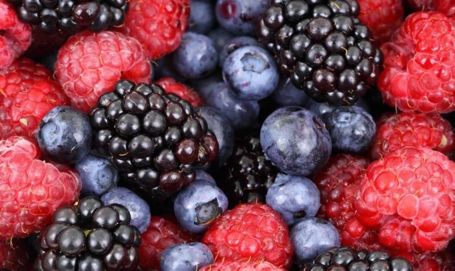 14 Symbolic Meanings of Dreaming of Picking Fruit