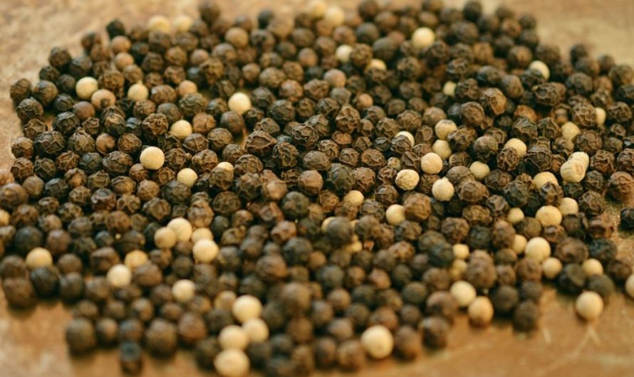 8 symbolic meanings of dreaming about pepper