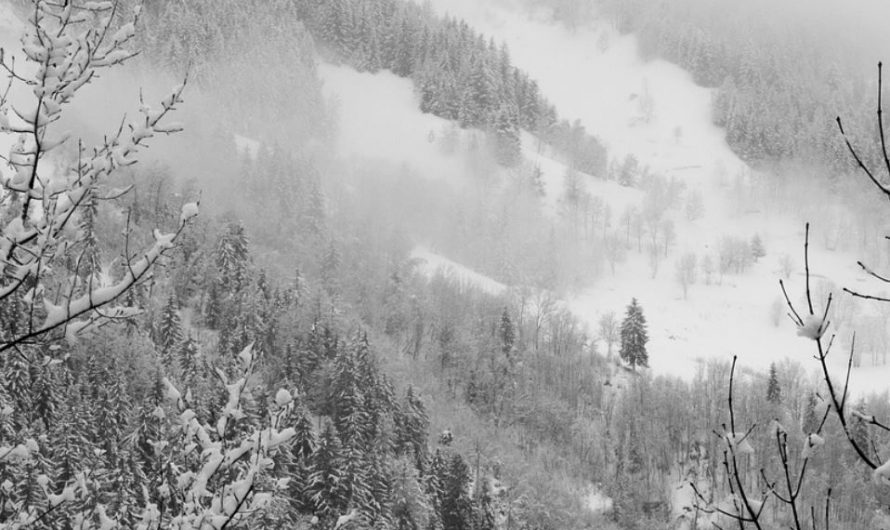 20 symbolic meanings of dreaming about snowstorm