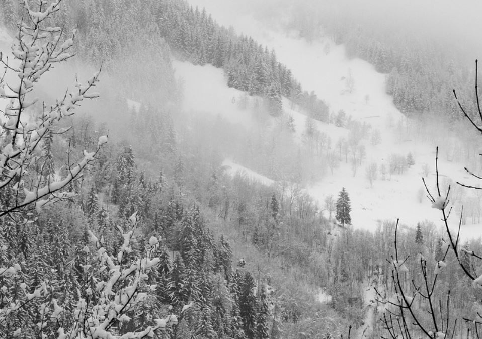 20 symbolic meanings of dreaming about snowstorm