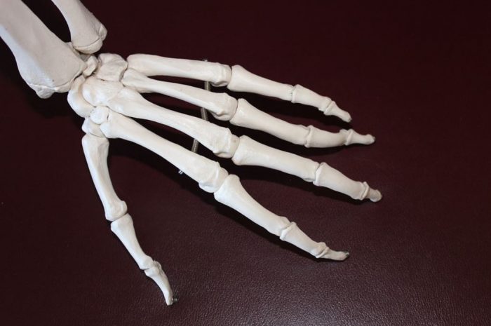 16 Symbolic Meanings of Dreaming of Human Bones