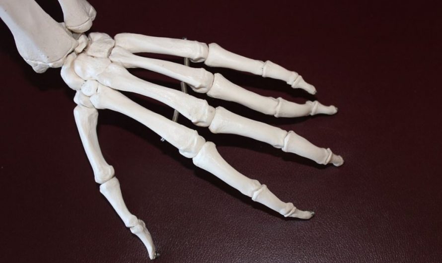 16 Symbolic Meanings of Dreaming of Human Bones