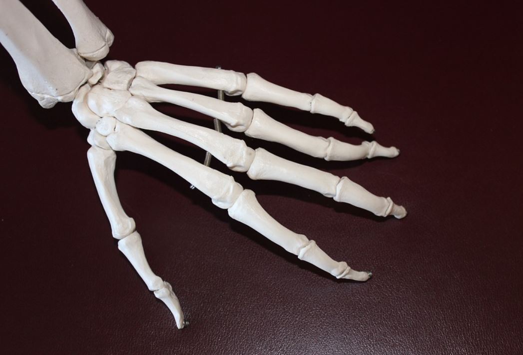 16 Symbolic Meanings of Dreaming of Human Bones