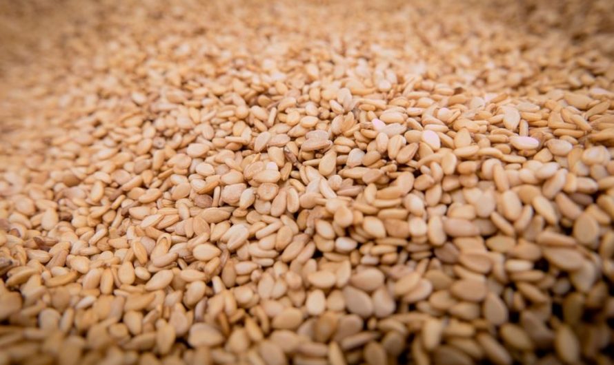 16 symbolic meanings of dreaming about sesame seeds