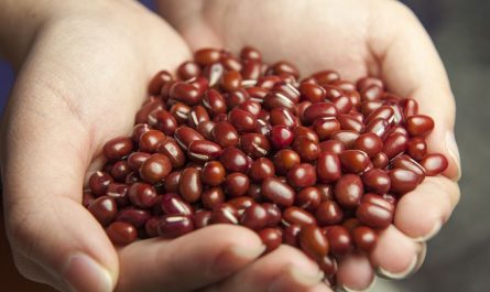 10 symbolic meanings of dreaming about red beans
