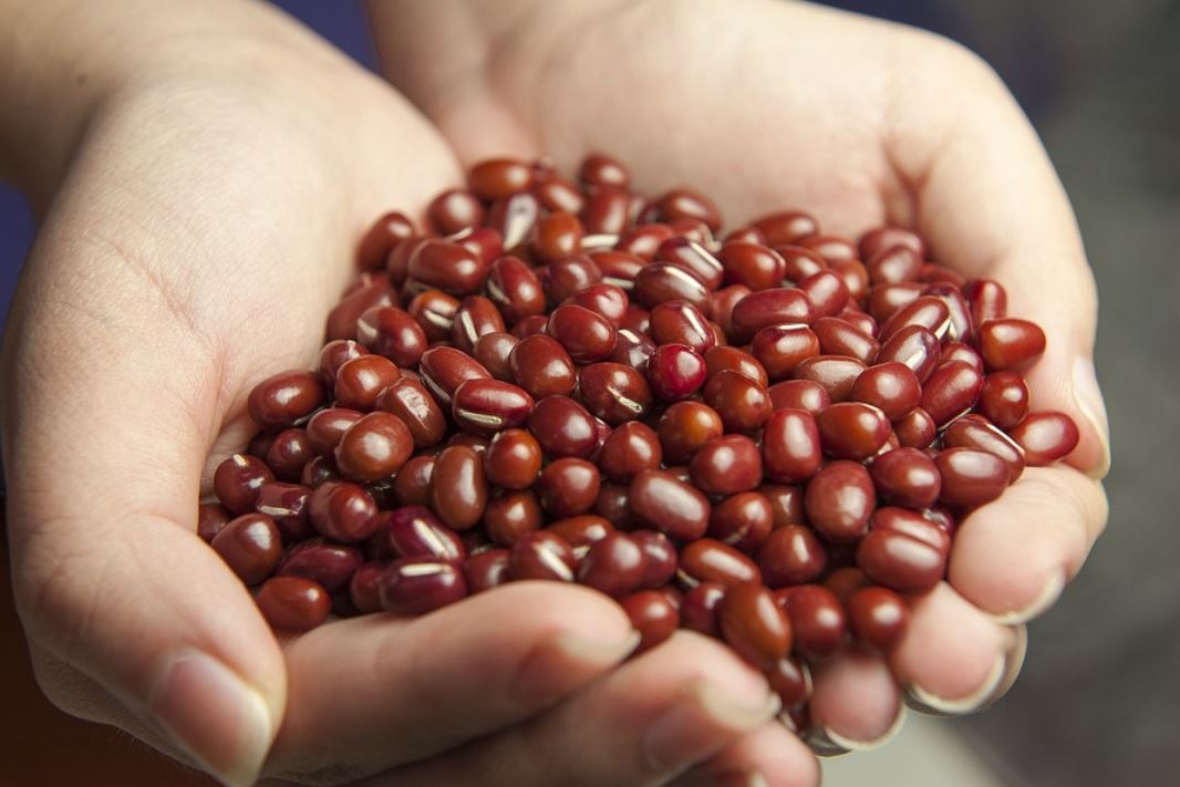 10 symbolic meanings of dreaming about red beans