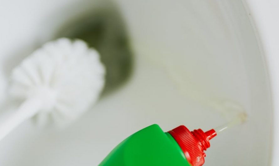 9 Symbolic Meanings of Dreaming of Defecation in the Toilet