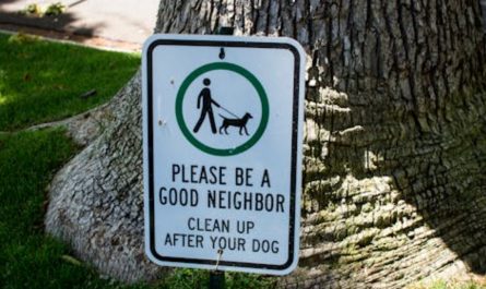 9 symbolic meanings of Dreaming of having feces on you