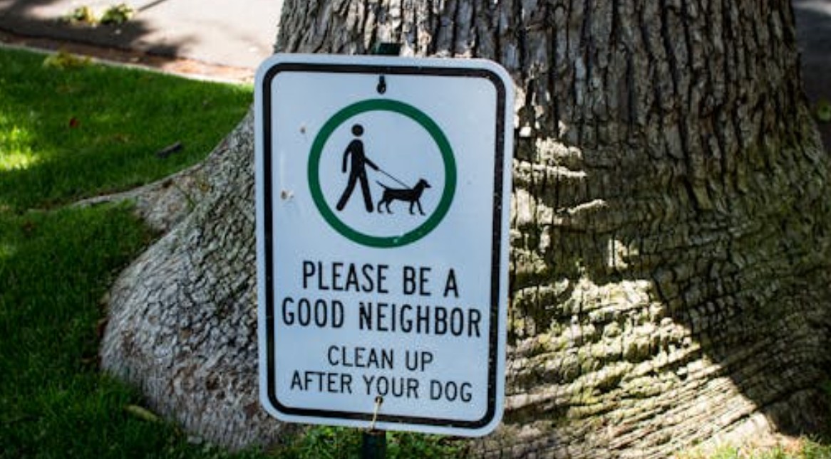 9 symbolic meanings of Dreaming of having feces on you