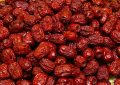 17 Symbolic Meanings of Dreaming About Planting Jujube Trees