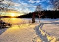 23 Symbolic Meanings of Dreaming of Winter's Arrival