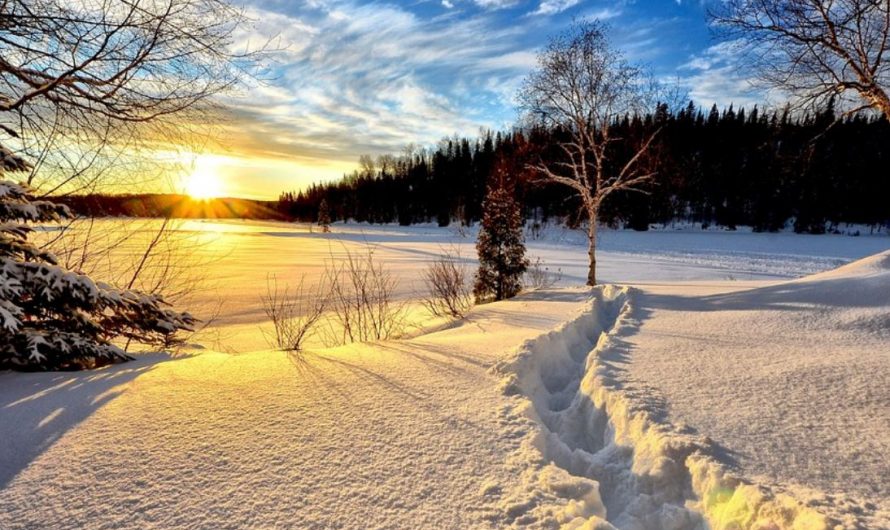 23 Symbolic Meanings of Dreaming of Winter’s Arrival