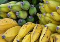 15 Symbolic Meanings of Dreaming about Bananas